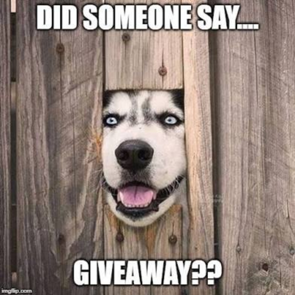 Winner Wins Free Shipping ♡♡